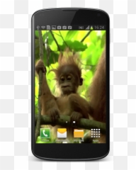 Baby Monkey Live Wallpaper 1 - Smartphone Emoji