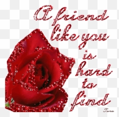 Natasha Harding Stickers For Android - Red Rose Friend Emoji