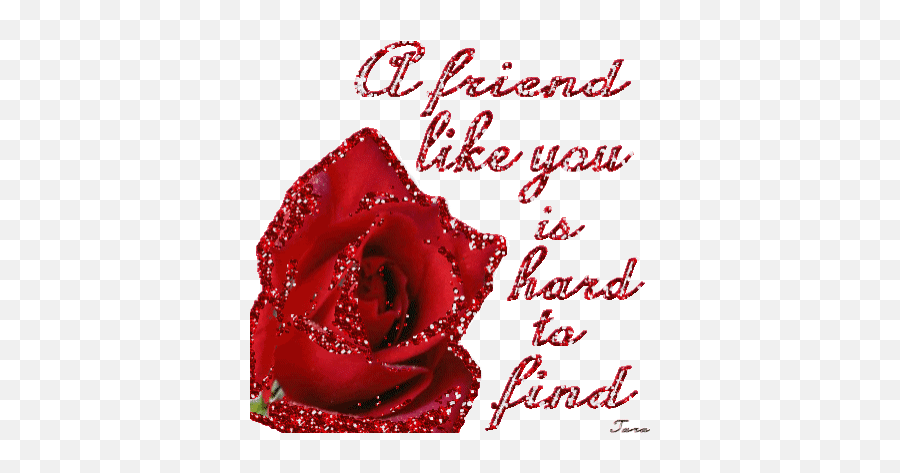 Natasha Harding Stickers For Android - Red Rose For Friend Emoji,Rose Emoticons