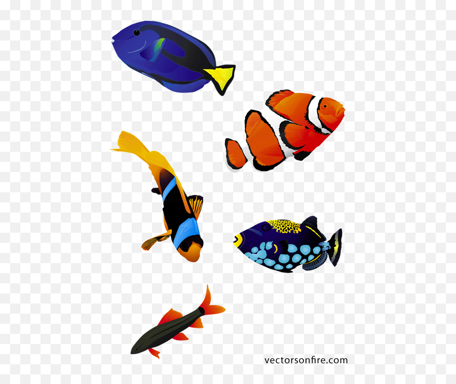 Download Hd Colorful Aquarium Fish - Coral Reef Fish Vector Colorful Fish Png Emoji,Tropical Fish Emoji