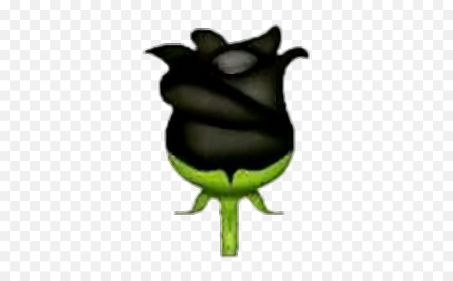 Rose Blackrose Emoji Emojisticker Overlay Overlays - Black Rose Emoji Png,Black Rose Emoji