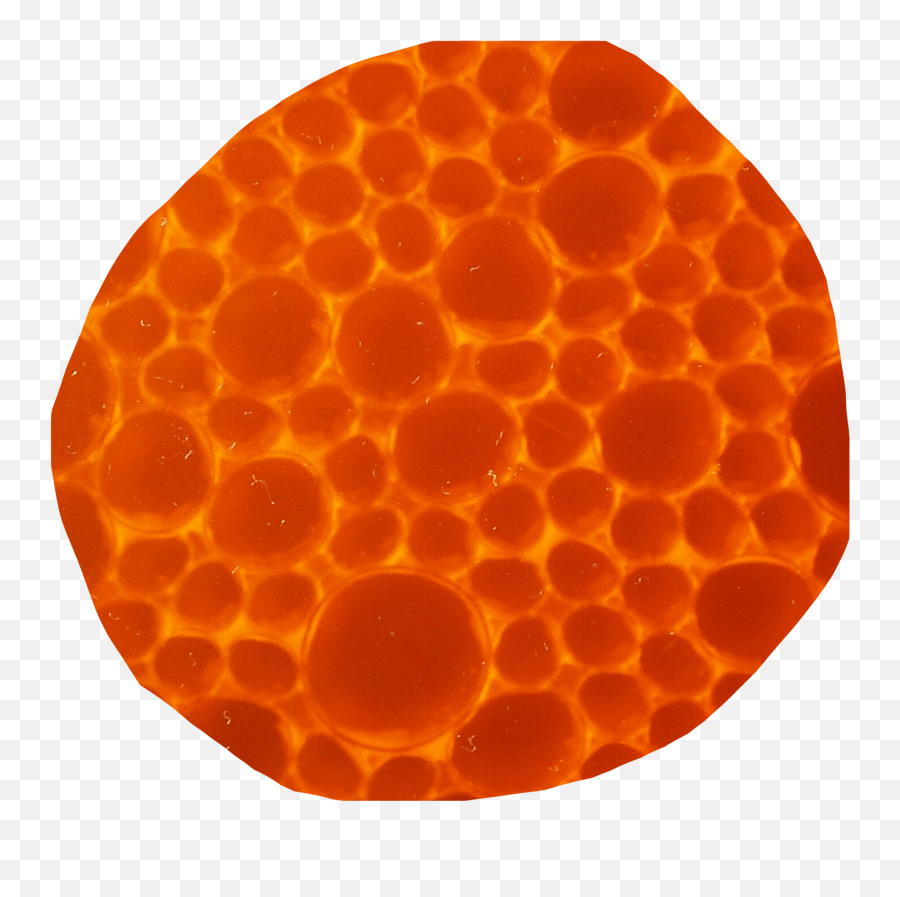 Honey Comb Honeycomb Bee Bees Sticker - Honeycomb Emoji,Honeycomb Emoji