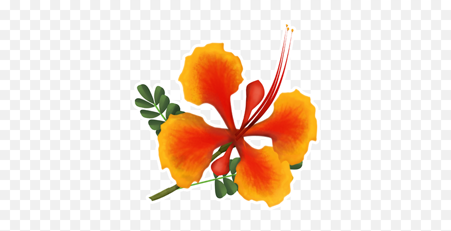 Zouzoukwa - Caesalpinia Emoji,Hawaiian Emoji App