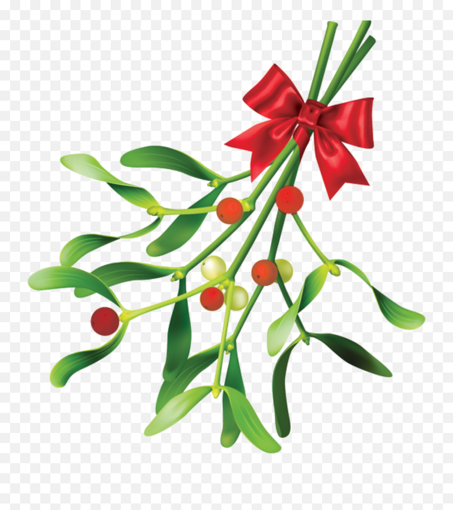 Holly Mistletoe Christmas - Floral Design Emoji,Mistletoe Emoji