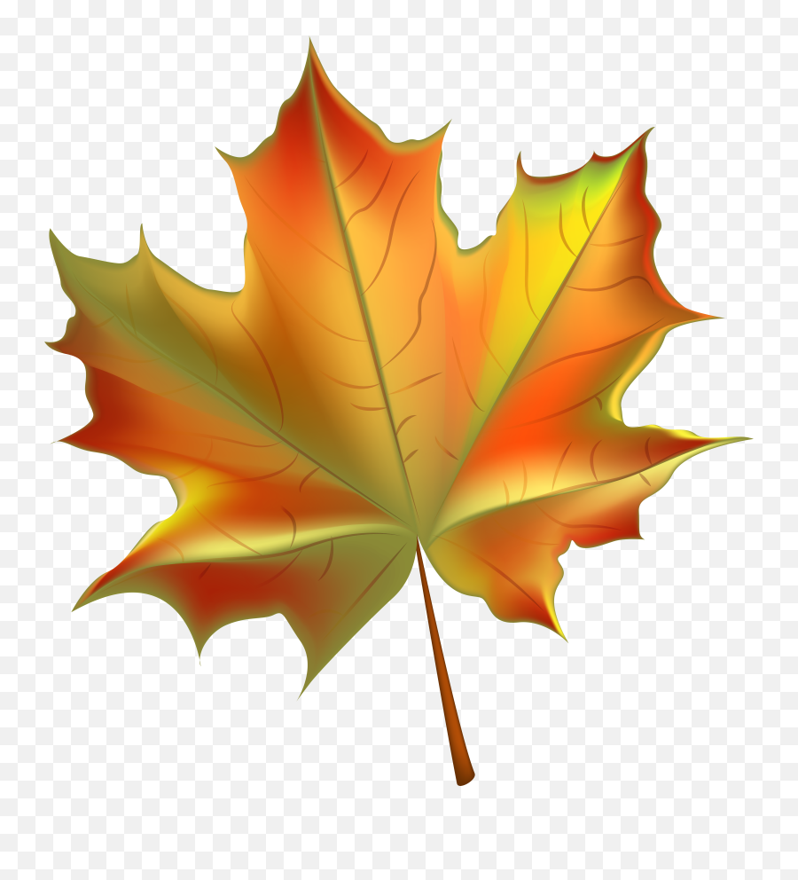Free Leaf Clipart Transparent Background Download Free Clip - Clip Art Autumn Leaf Emoji,Autumn Leaf Emoji