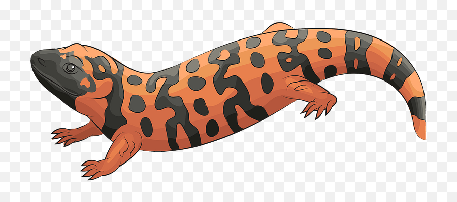 Gila Monster Clipart - Transparent Gila Monster Clipart Emoji,Lizard Emoji