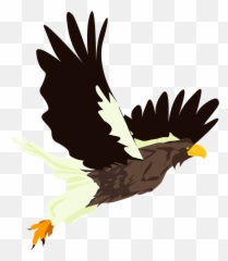 Hawk Bird Clipart - Sea Eagle Emoji