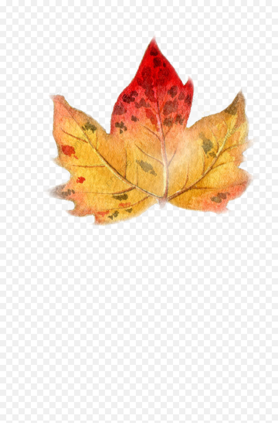 Autumn Leaf Leaftree Sticker By - Autumn Emoji,Autumn Leaf Emoji