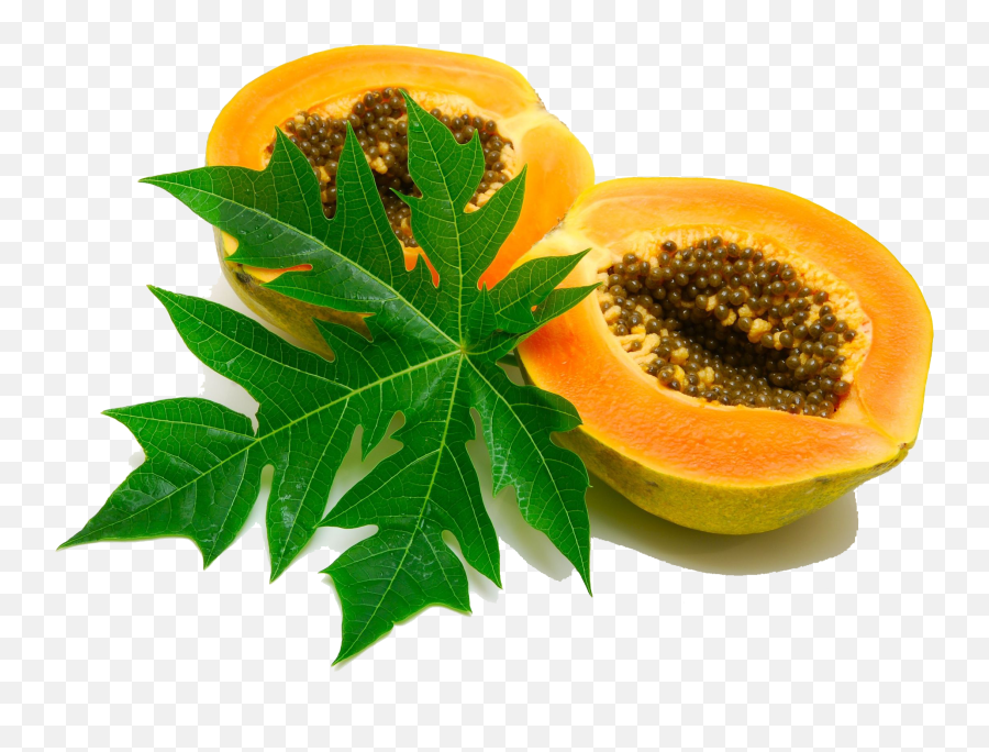 Download Papaya Image Hq Png Image - Papaya Leaf Png Emoji,Papaya Emoji