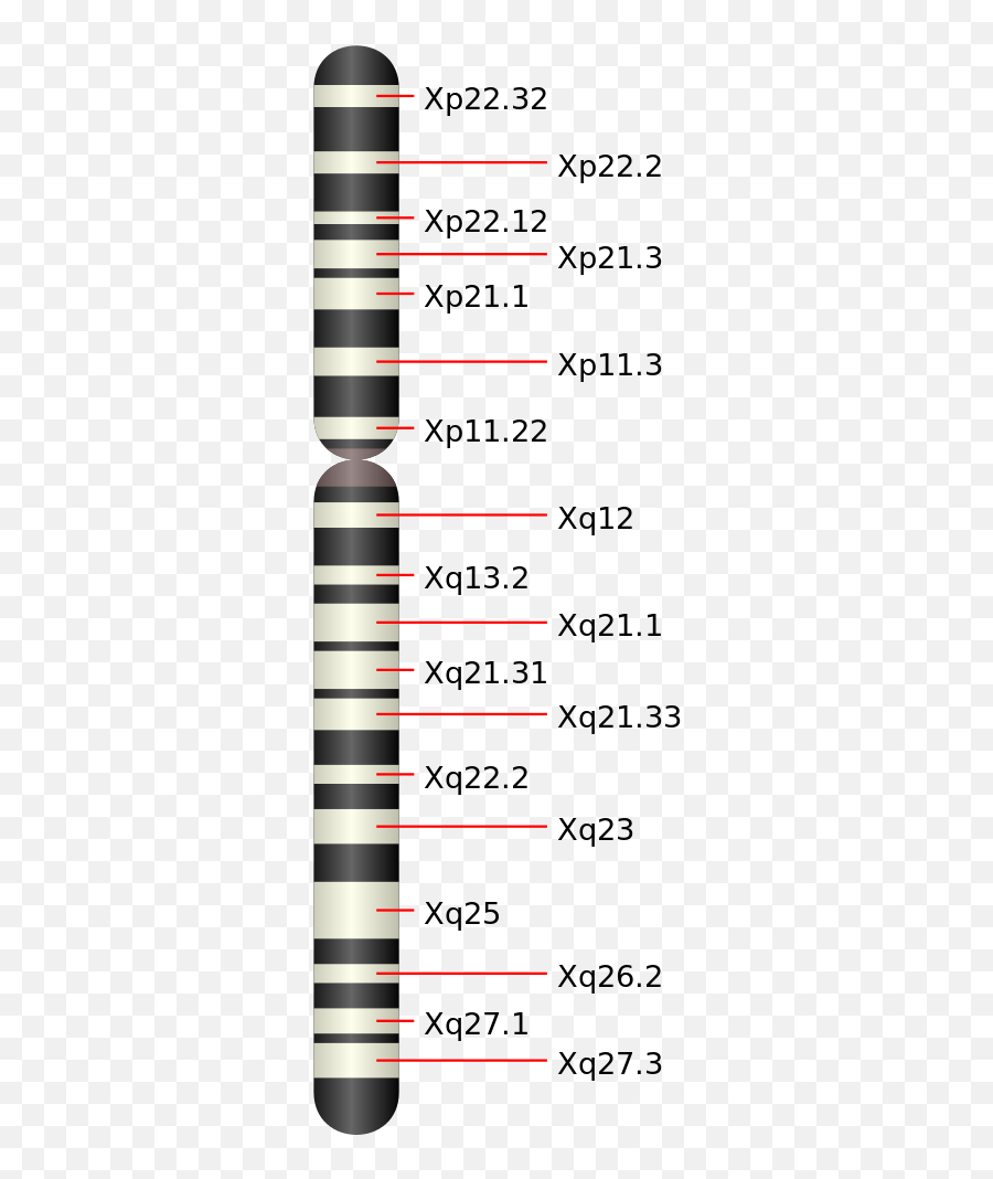 Chromosome X - Chromosome 8 Emoji,Upside Down Emoji
