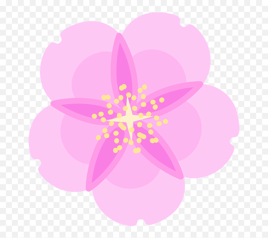 Cherry Blossom Flower Spring - Illustration Emoji,Sakura Blossom Emoji