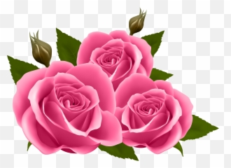 Rose Clipart Pink Tranparent Png And - Pink Roses Clipart Emoji,Emoji Roses
