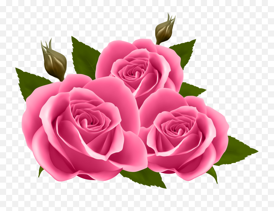 Rose Clipart Pink Tranparent Png And - Pink Roses Clipart Emoji,Emoji Roses