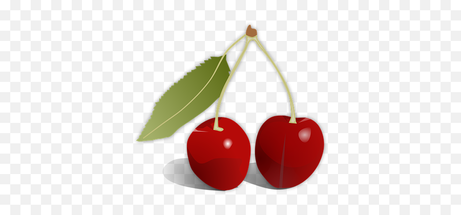 Free Cherry Fruit Vectors - Fruit Cherry Emoji,Cherry Emoticon