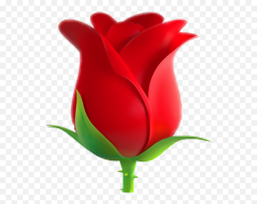 Download Emoticon Rose Symbol Sticker Emoji Png Download - Rose Emoji Transparent,Plant Emoji