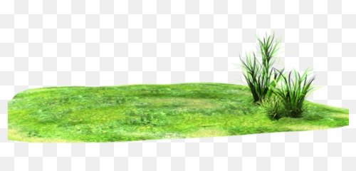 Landscaping Clipart 3d Grass - With Png Emoji