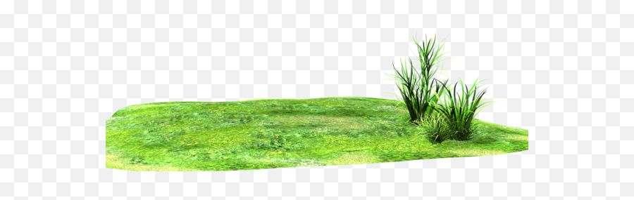 Landscaping Clipart 3d Grass - Land With Grass Png Emoji,Side Glance Emoji