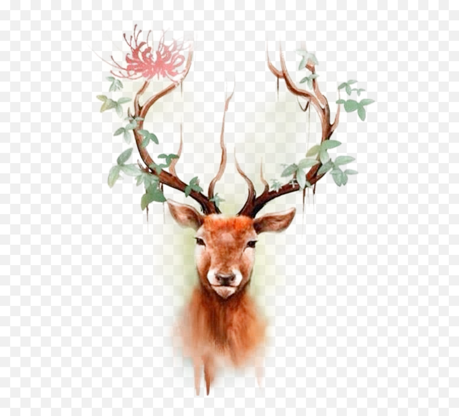 Download Elk Moose Tattoo Color Deer Head Reindeer Clipart - Desenhos De Veado Coloridos Emoji,Moose Emoticon