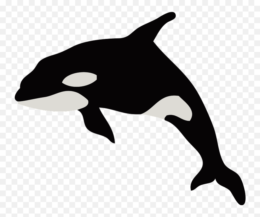 Killer Whale Clipart Free Download Transparent Png Creazilla - Transparent Killer Whale Silhouette Emoji,Orca Emoji