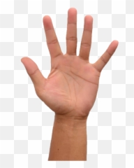 Raisinghand Highfive Fingers Finger - If The Words You Spoke Appeared On Your Skin Meme Template Emoji,Double High Five Emoji