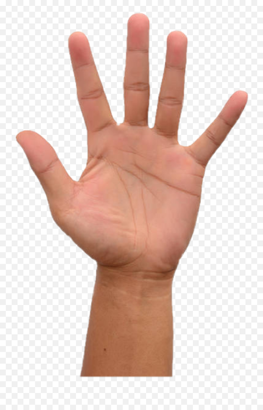 Raisinghand Highfive Fingers Finger - If The Words You Spoke Appeared On Your Skin Meme Template Emoji,Double High Five Emoji
