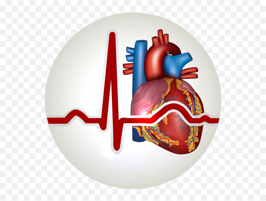 Heart Circulatory System Png Clipart - Heart Complications Of Diabetes Emoji,Trap Emojis