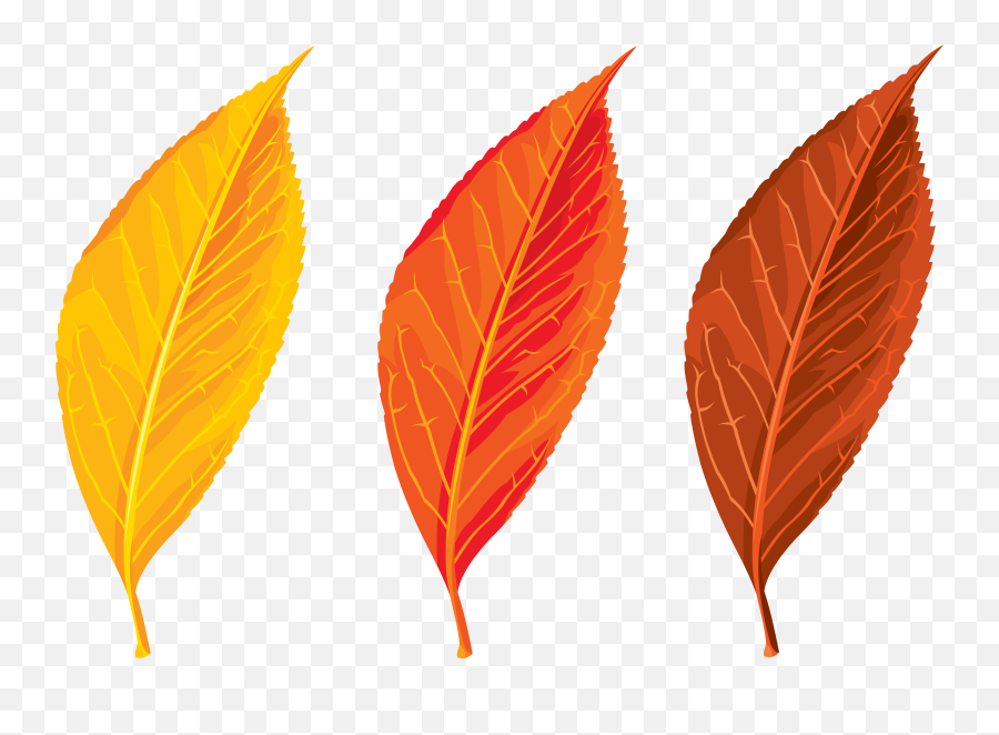 Winter Tree Png Files Clipart - Clipart Autumn Leaves Emoji,Leaf Pig Emoji