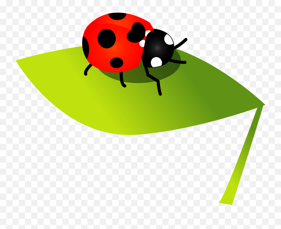 Seven Spot Ladybird Clipart - Ladybird Clipart Emoji,Ladybug Emoji