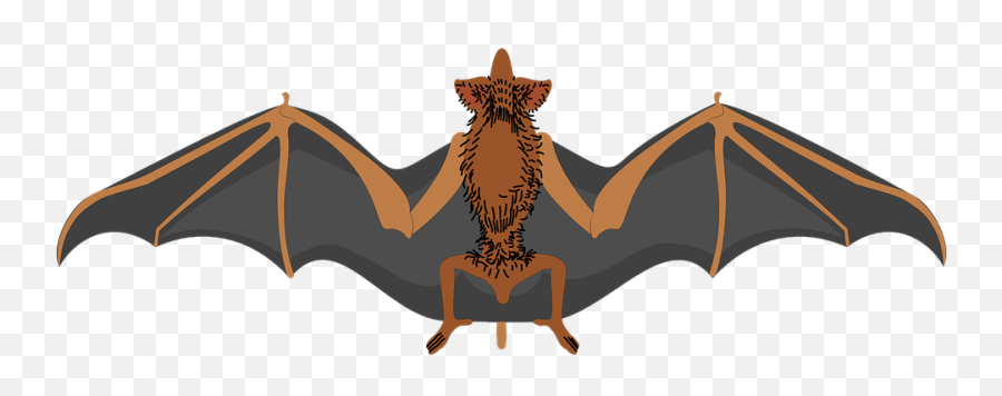 Free Spread Wings Illustrations - Bat Wings Hd Emoji,Eagle Emoji