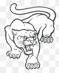 Clip Art Cougar Mascot Face Clipart 3 - Black And White Cougar Mascot Clipart Emoji,Cougar Emoji