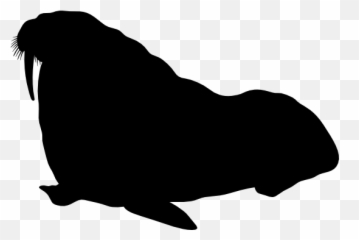 Large Walrus Facing Left Sticker - Illustration Emoji,Walrus Emoji