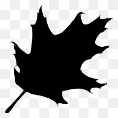 Silhouette Vector Illustration Of Oak - Clip Art Black Leaf Emoji,Magnifying Glass Fish Emoji