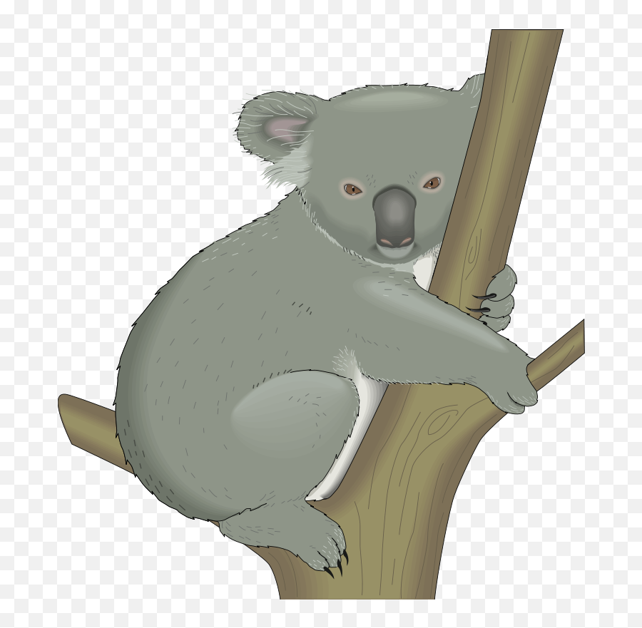 Two Koala Bears Hugging Clipart - Koala In A Tree Clipart Emoji,Koala Emoticons