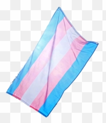 Transgender Trans Lgbt Lgbtq Queer Pride Transpride Fla - Triangle Emoji,Trans Flag Emoji