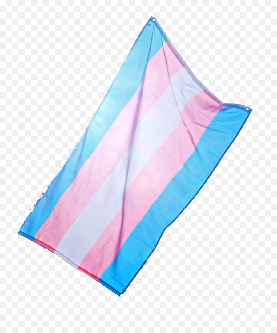 Transgender Trans Lgbt Lgbtq Queer Pride Transpride Fla - Triangle Emoji,Trans Flag Emoji