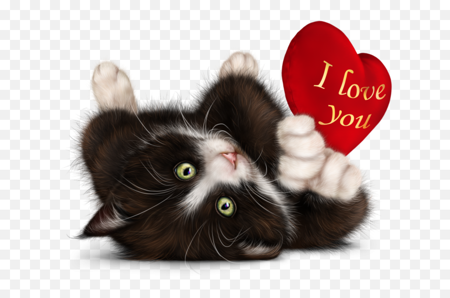 Cat Kitty Kitten Cute Animal Love Heart Emoji,Cat Heart Emoji Meme