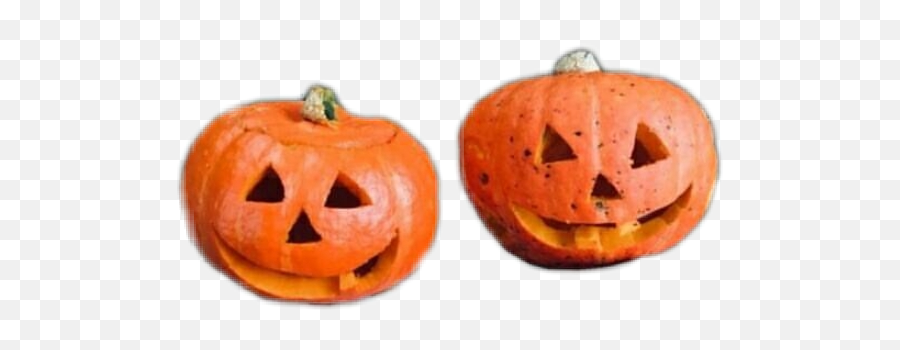 Halloween Pumpkins Orange Aesthetic - Pumpkin Aesthetic Png Emoji,Pumpkin Carving Emoji