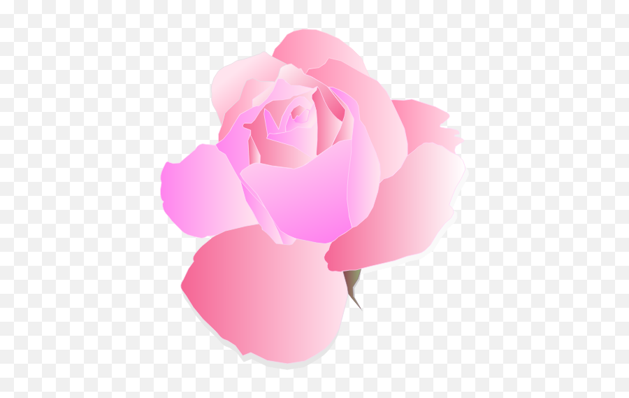 Purple And Pink Rose - Transparent Background Png Images Flower Emoji,Sakura Blossom Emoji