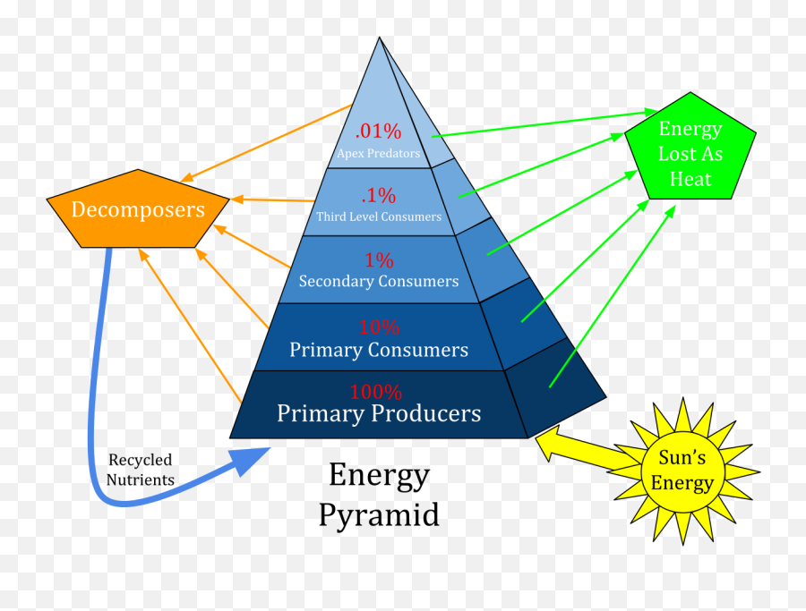 Ecological Pyramid - Energy Pyramid Emoji,Pyramid Emoji