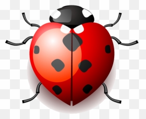 Drawing Insects Ladybird Transparent Emoji,Ladybug Emoji