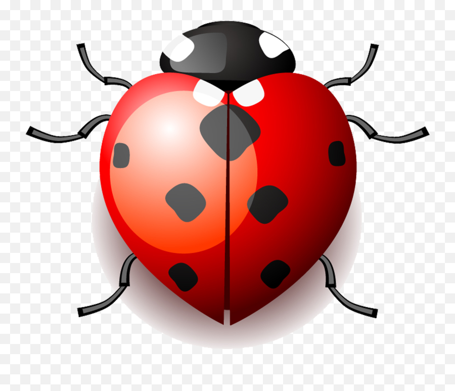 Drawing Insects Ladybird Transparent Emoji,Ladybug Emoji