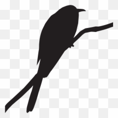 Yellow - Cuckoo Png Emoji