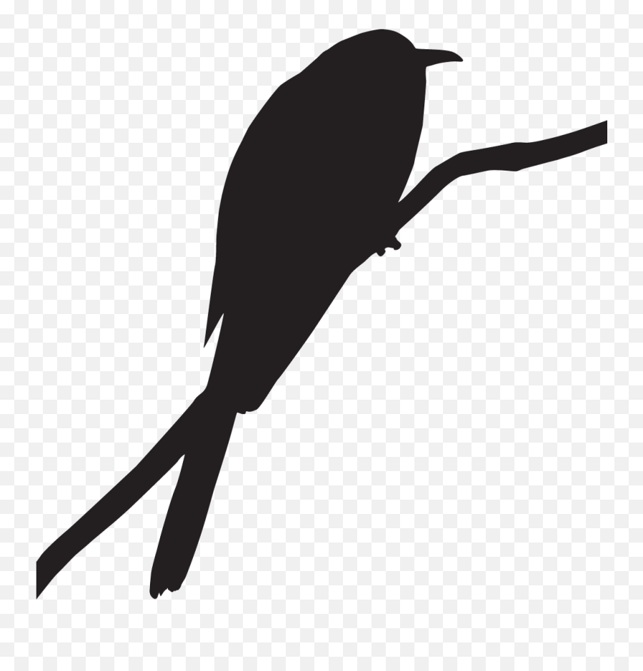 Yellow - Cuckoo Png Emoji,Cuckoo Emoji