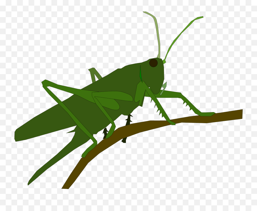 Grasshopper Clipart - Grass Hopper Clipart Emoji,Grasshopper Emoji