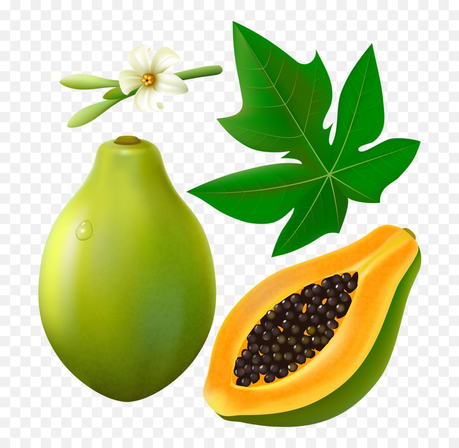 Fruit Clipart Papaya Fruit Papaya - Papaya Leaf Clip Art Emoji,Papaya Emoji