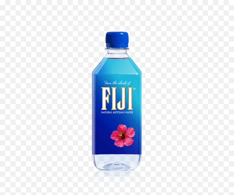 Dumb Bish - Discord Emoji Fiji Water Bottle,Emoji Dumb