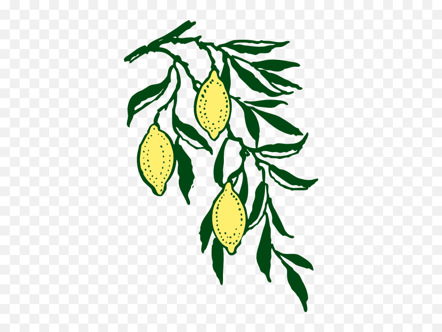 Clipart Free Clipart Graphics Images - Lemon Tree Vector Png Emoji,Lemon Emoji Png