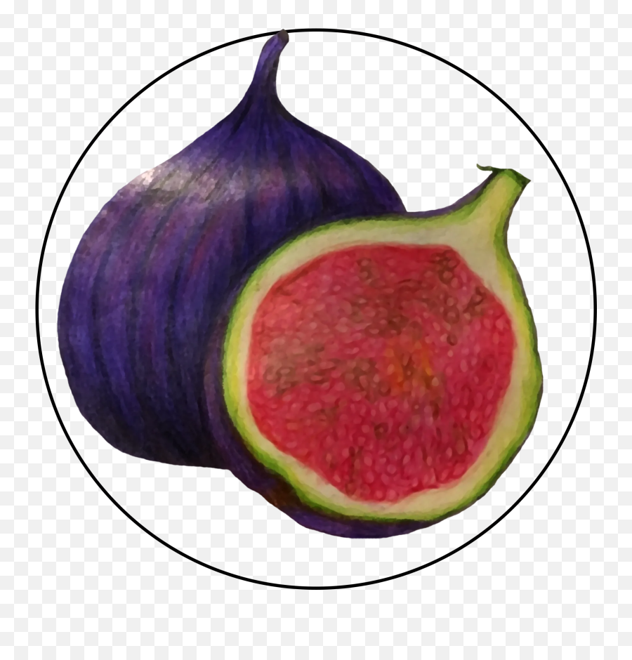 Jason B Graham - Common Fig Emoji,Dragon Fruit Emoji
