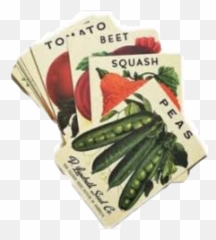 Largest Collection of Free - toEdit beet Stickers Vintage Vegetable Seed Packets Emoji