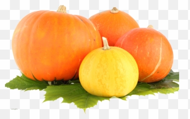 Pumpkin Png Emoji,Pumpkin Pie Emoji